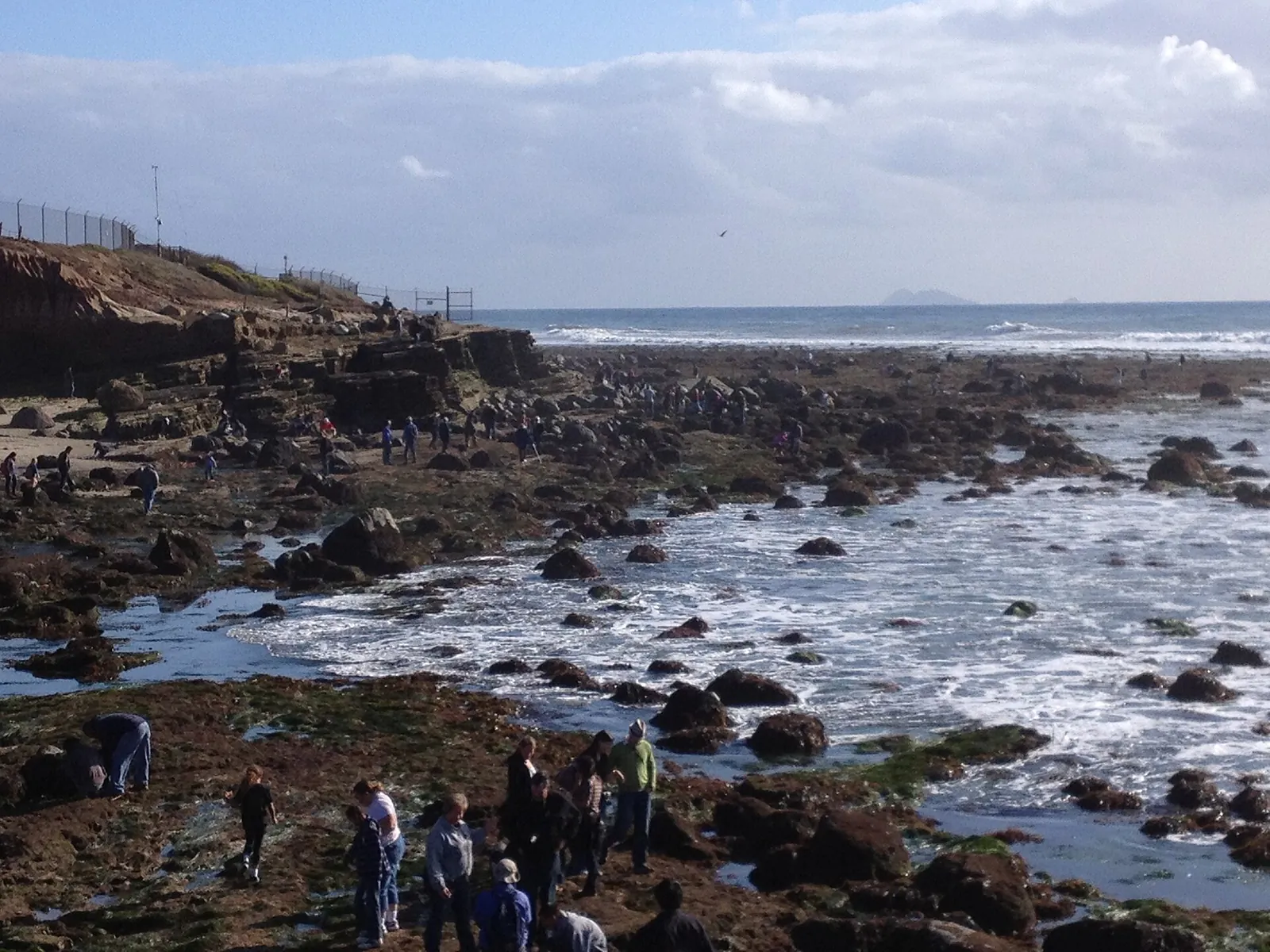 Cabrillo Tide Pools