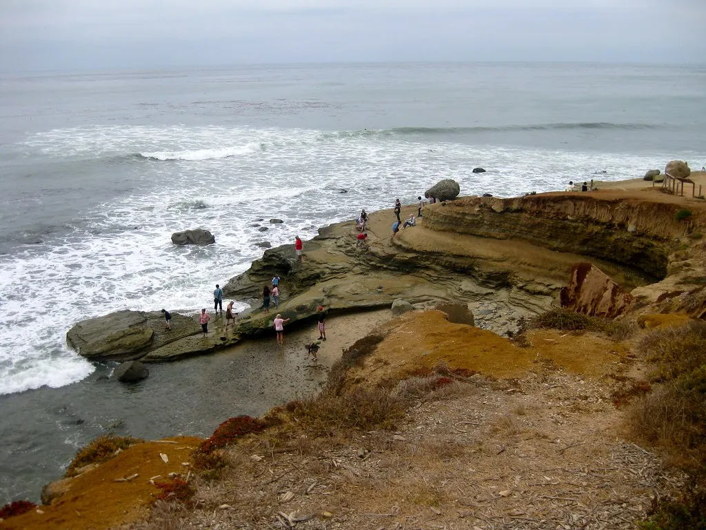 Families exploring the rocky tide pools below the bluffs at Cabrillo National Monument at low tide