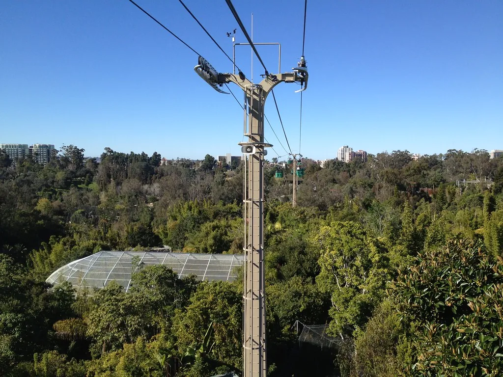 Skyfari aerial tram cables and green gondolas above the tree canopy at the San Diego Zoo