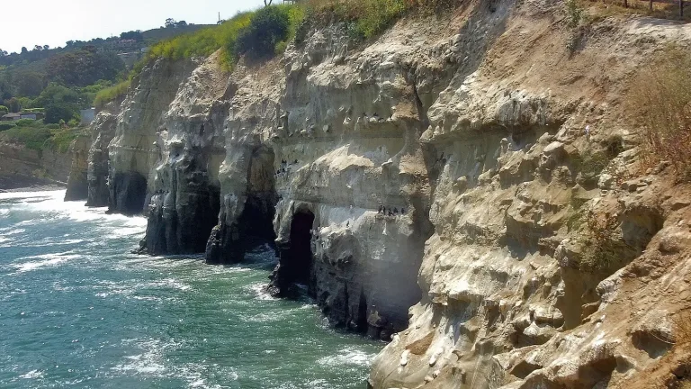 The La Jolla sea caves carved into the sandstone cliffs above the ocean